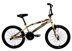 20"freestyle bicycle